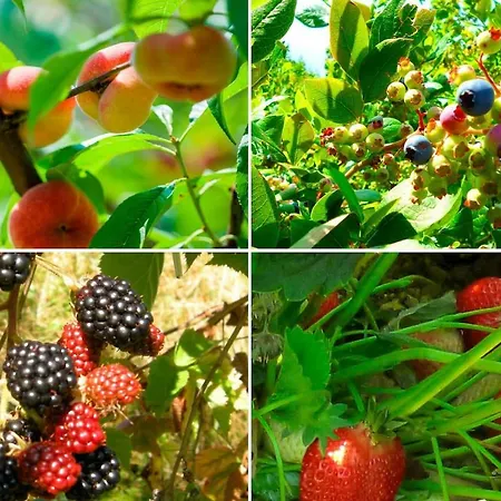 Verderame: Natura E Relax *